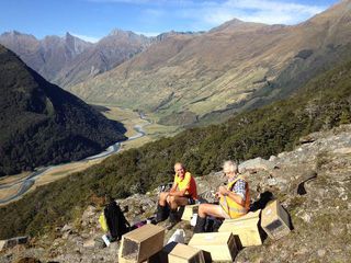 MCTrust Newsletter June 2016