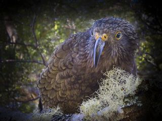 February 2014 Workparty